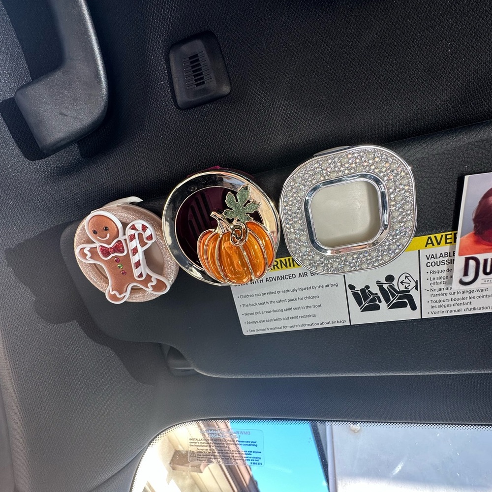 Festive Car Visor Clip Trio - Gingerbread, Pumpkin, Rhinestone